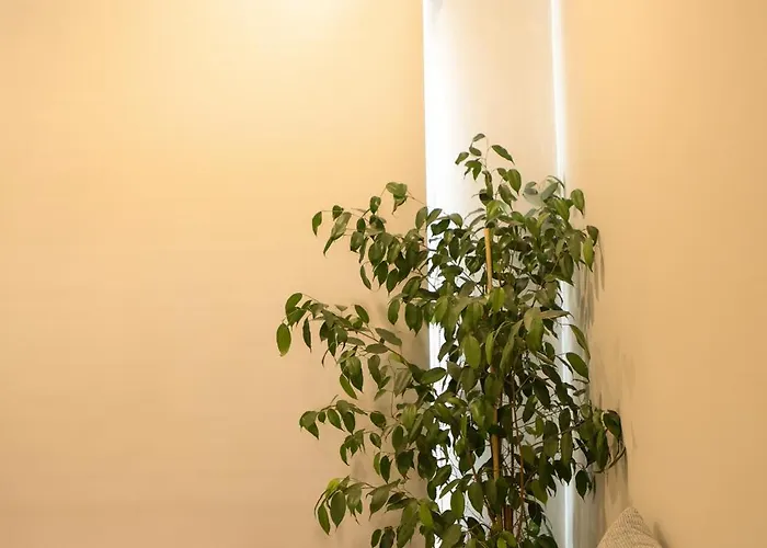 Casa Do Alto Amarante